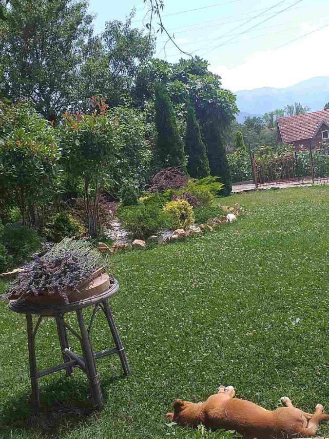 Villa Silva Ohrid Kültér fotó