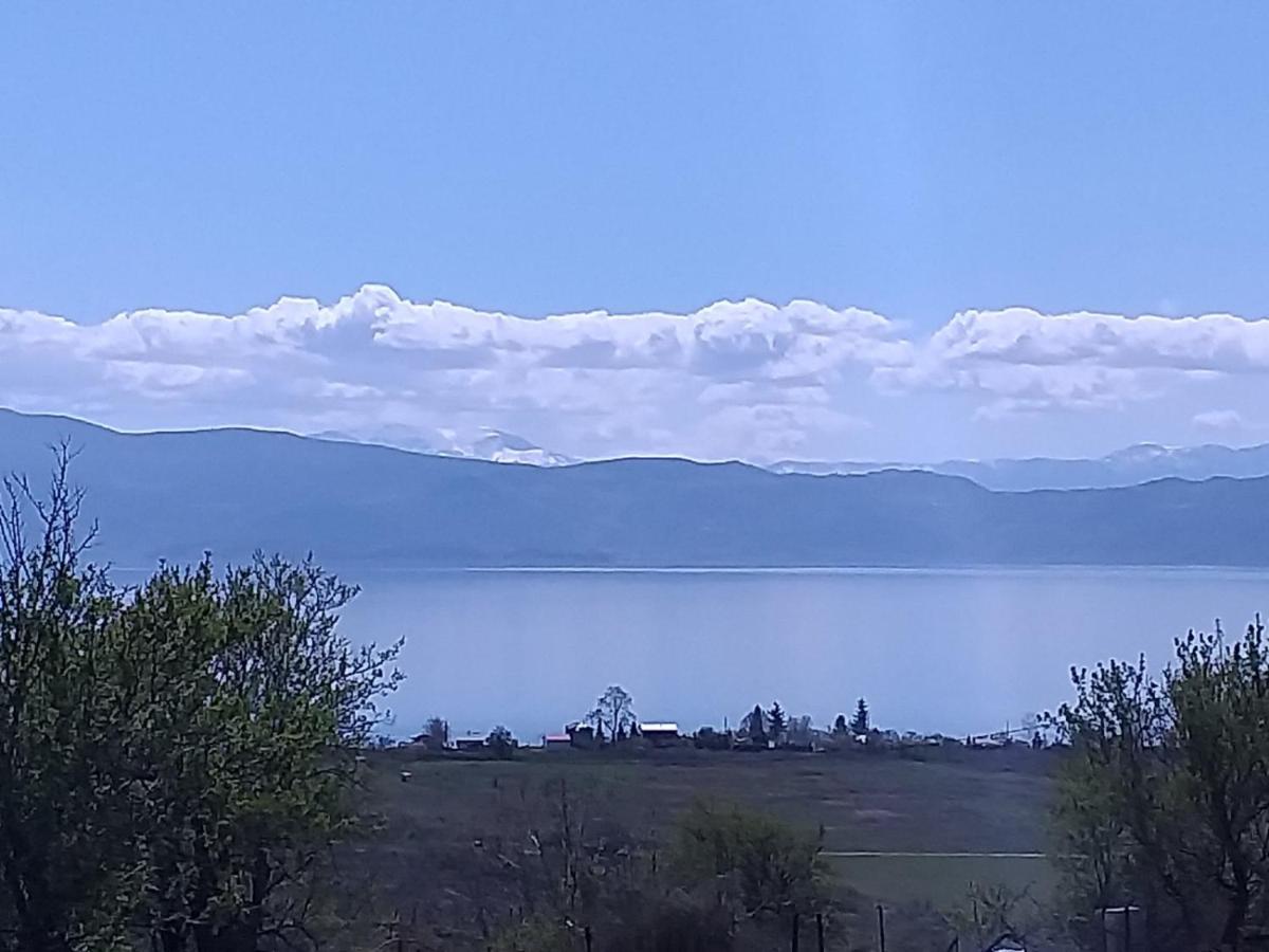 Villa Silva Ohrid Kültér fotó