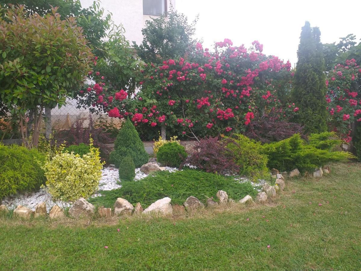 Villa Silva Ohrid Kültér fotó