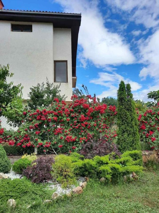Villa Silva Ohrid Kültér fotó