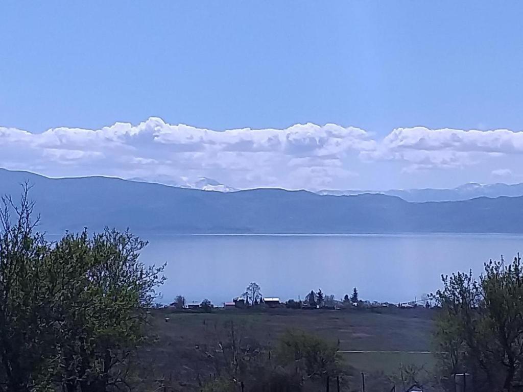 Villa Silva Ohrid Kültér fotó